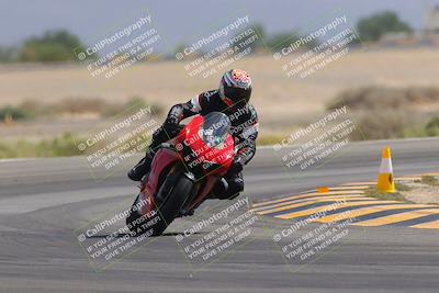 media/Sep-30-2023-SoCal Trackdays (Sat) [[636657bffb]]/Turn 15 (1120am)/